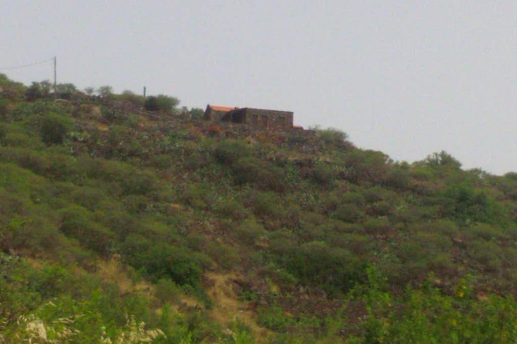 La Casa De La Lima Holiday home